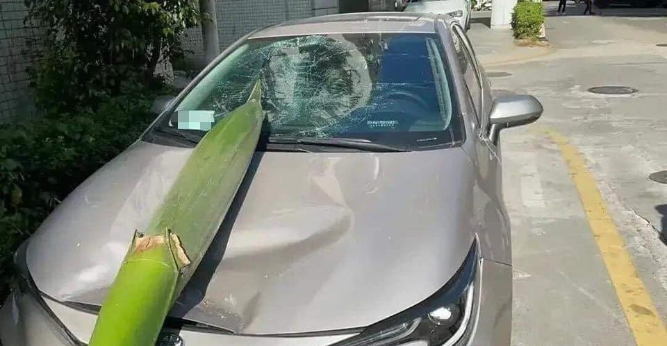 Tuy nhiên việc chủ xế nhận cái kết này không hề vô lý bởi họ đỗ xe mặc biển cảnh báo, tấm biển này đã xuất hiện từ trước nhưng có vẻ như chủ xế hộp không để ý.