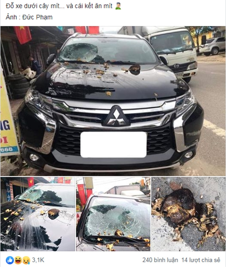 Sai người sai cả thời điểm, cái kết là tốn tiền thay kính xe.