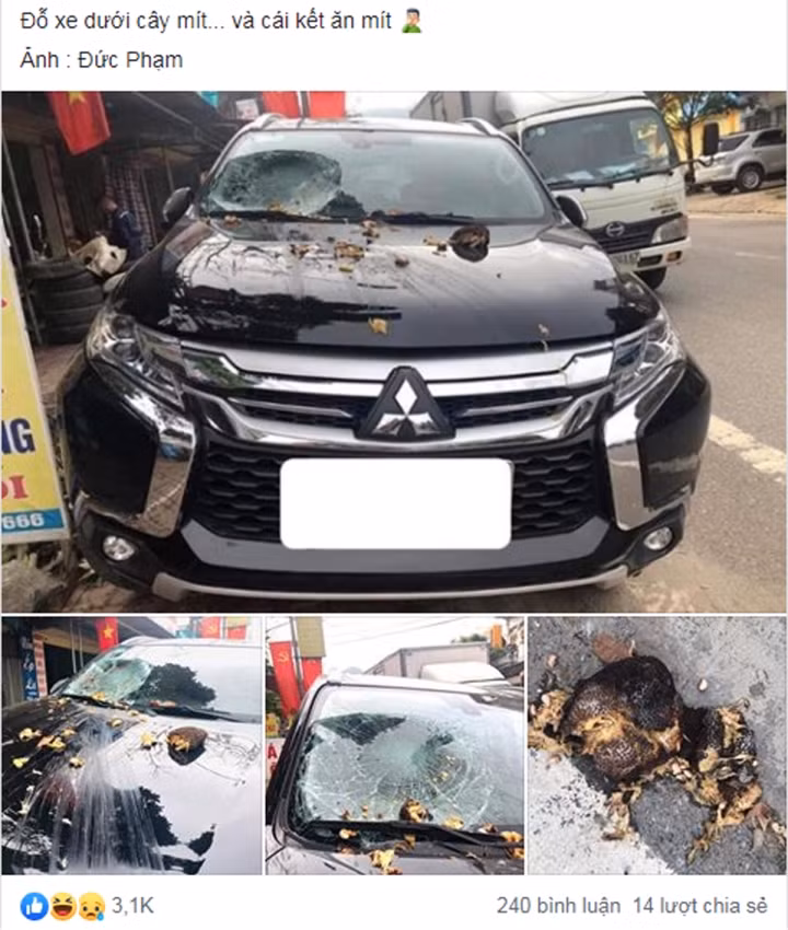 Sai người sai cả thời điểm, cái kết là tốn tiền thay kính xe.