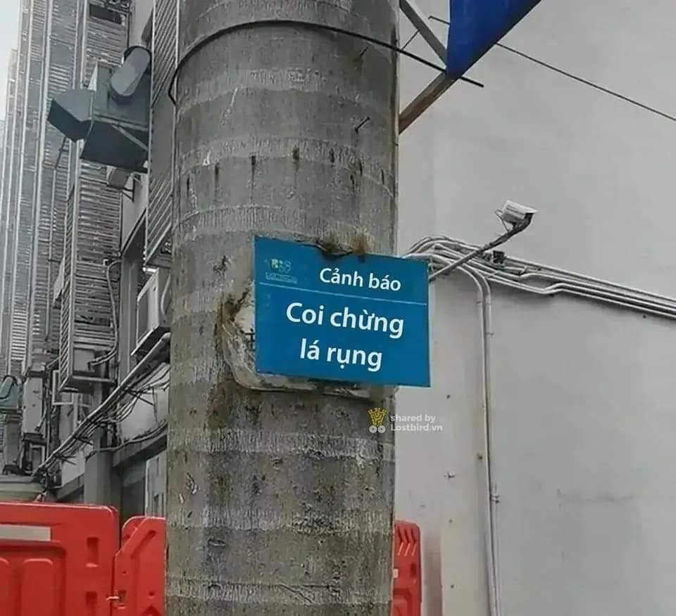 Theo đó, vì muốn chọn nơi mát mẻ để đậu xe, tài xế này đã đỗ xe dưới cây dừa rồi đi công việc. Nào ngờ khi quay lại, người này chỉ biết ngậm ngùi nhìn kính xe vỡ nát vì tán dừa rụng đâm thủng kính xe.