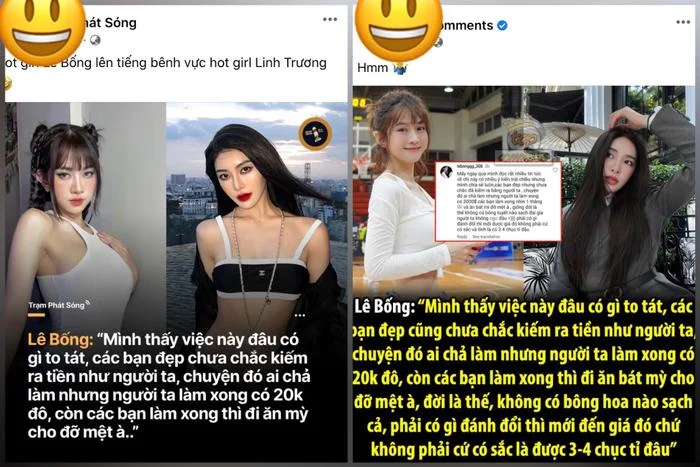 Cụ thể Lê Bống cho biết một số fanpage đã đăng ảnh mình với tựa đề "Lê Bống lên tiếng bênh vực hot girl L.T về một số sự việc nhạy cảm gần đây". Ngoài ra fanpage này còn trích dẫn: “Mình thấy việc này đâu có gì to tát, các bạn đẹp chưa chắckiếm ra tiền như người ta, chuyện đó ai chả làm nhưng người ta làm xong có 20 nghìn đô, còn các bạn làm xong thì đi ăn mỳ cho đỡ mệt à”.