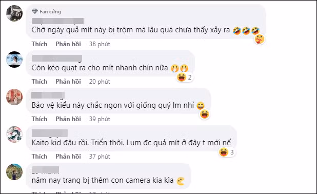 Sau khi hình ảnh chia sẻ lên MXH, dưới phần bình luận netizen nhanh chóng phát hiện ra cây mít quen thuộc này từng nổi tiếng trên MXH cách đây khá lâu.