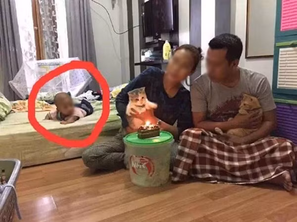 Những hình ảnh này có lẽ là minh chứng cho việc gen Z làm mẹ, khi làm mẹ ở độ tuổi còn đang mải ăn mải chơi nên mới ra đời những loạt khoảnh khắc cực hài hước này.