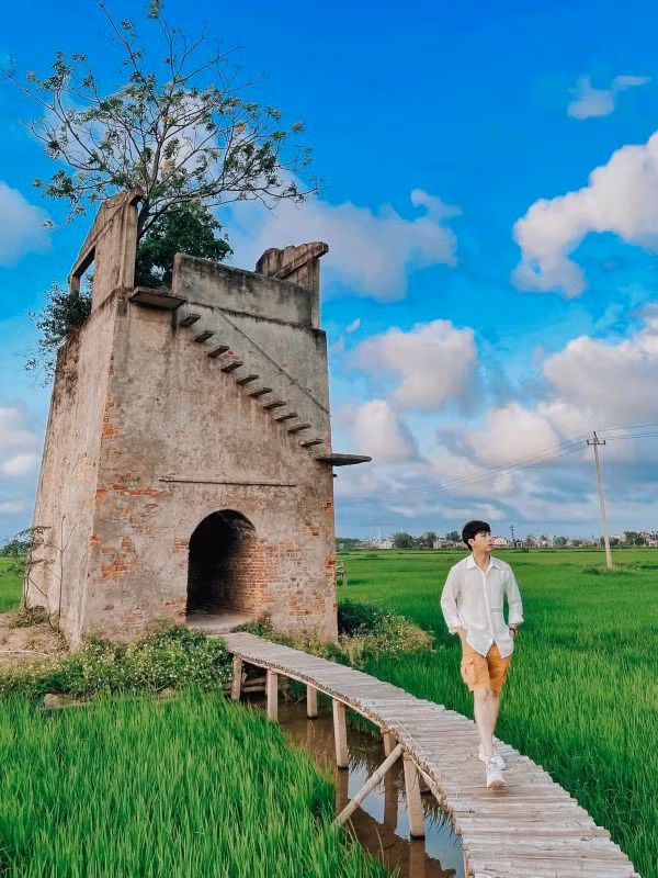 Xung quanh lò gạch là cánh đồng lúa mênh mông bát ngát. Thời điểm check in đẹp nhất là lúc bình minh hoặc hoàng hôn.