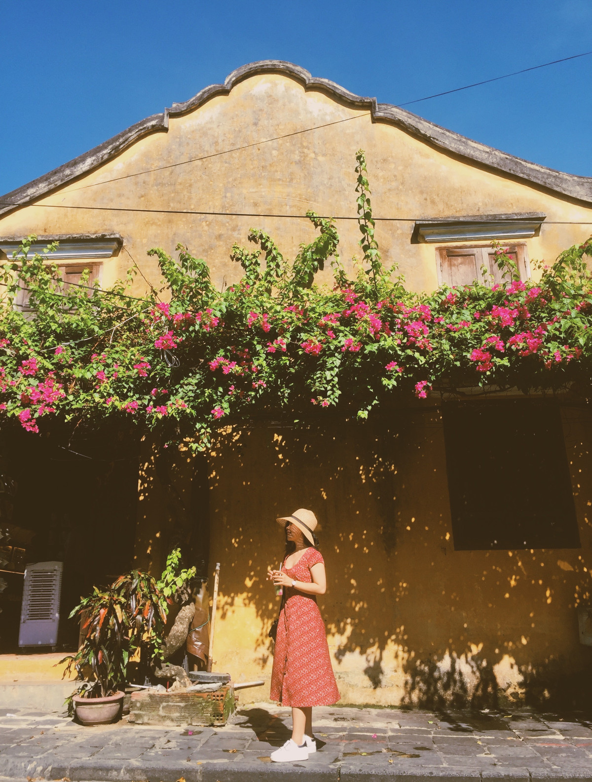 Những ngôi nhà hoa giấy cũng là biểu tượng nổi tiếng ở Hội An.