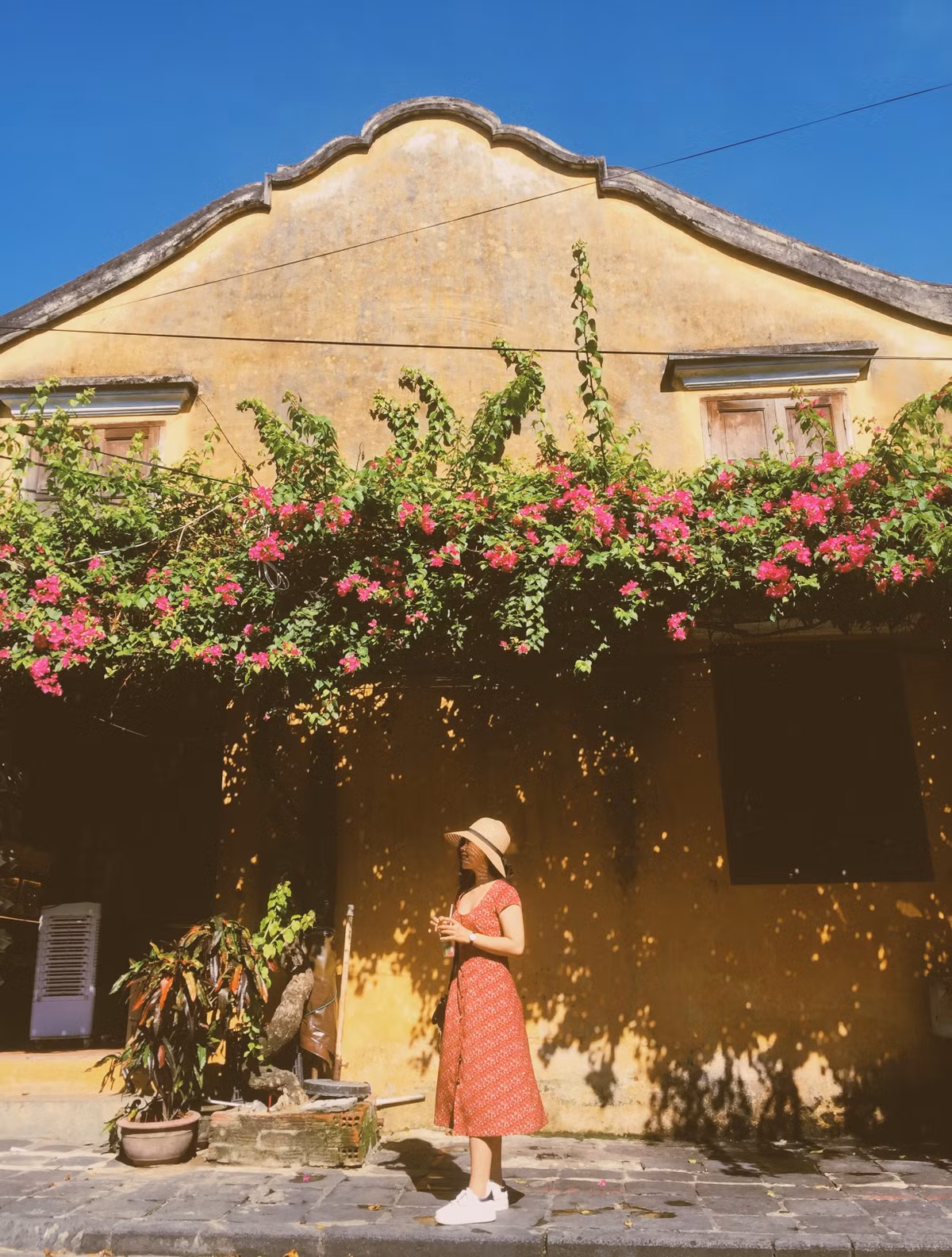 Những ngôi nhà hoa giấy cũng là biểu tượng nổi tiếng ở Hội An.