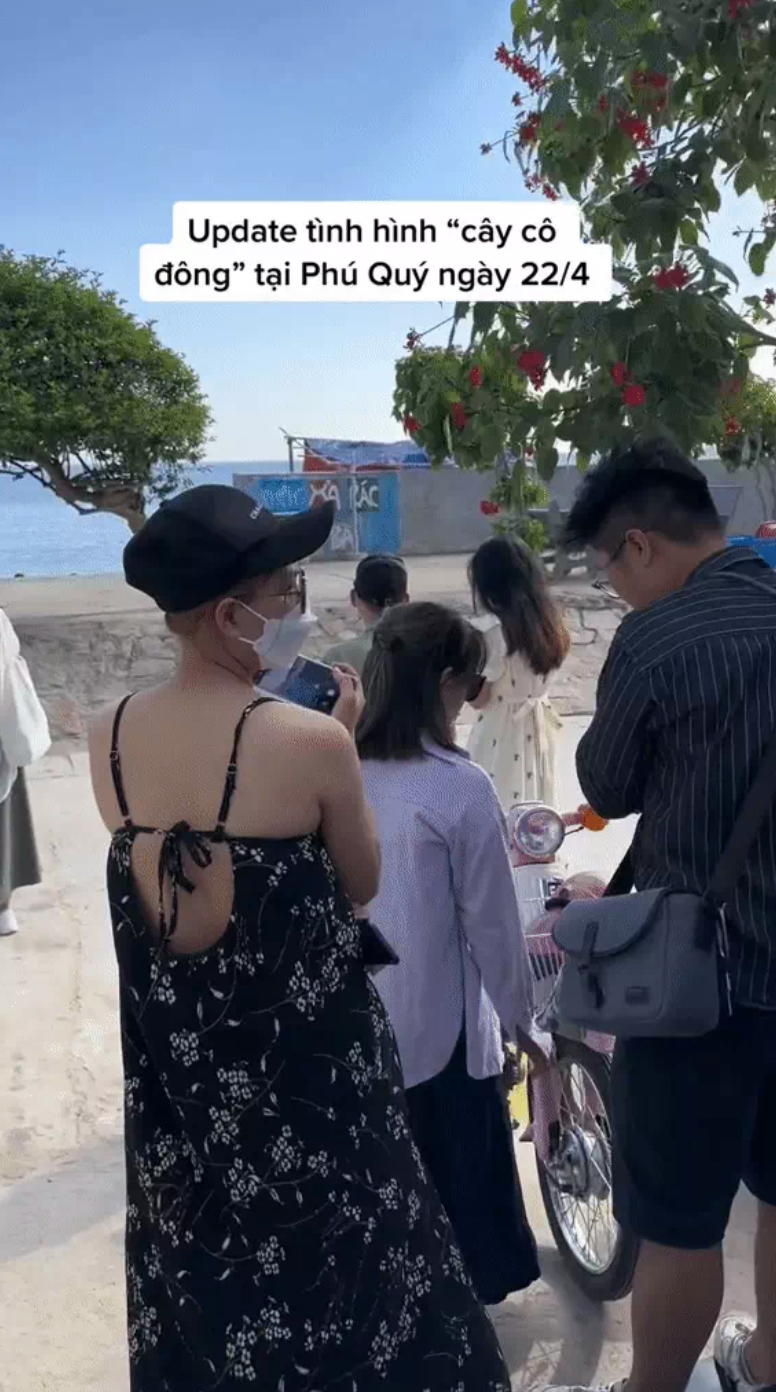 Trên TikTok xuất hiện nhiều clip ghi lại khoảnh khắc du khách xếp hàng dài chờ tới lượt để được check in tại các điểm "hot".