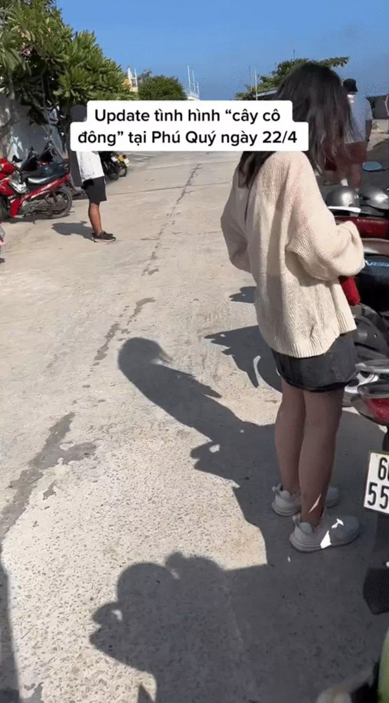 Những địa điểm quen thuộc lúc trước giờ đây chật kín du khách và những thợ săn ảnh từ nghiệp dư đến chuyên nghiệp.