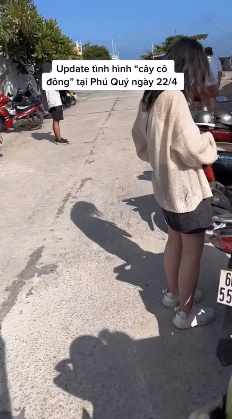 Những địa điểm quen thuộc lúc trước giờ đây chật kín du khách và những thợ săn ảnh từ nghiệp dư đến chuyên nghiệp.