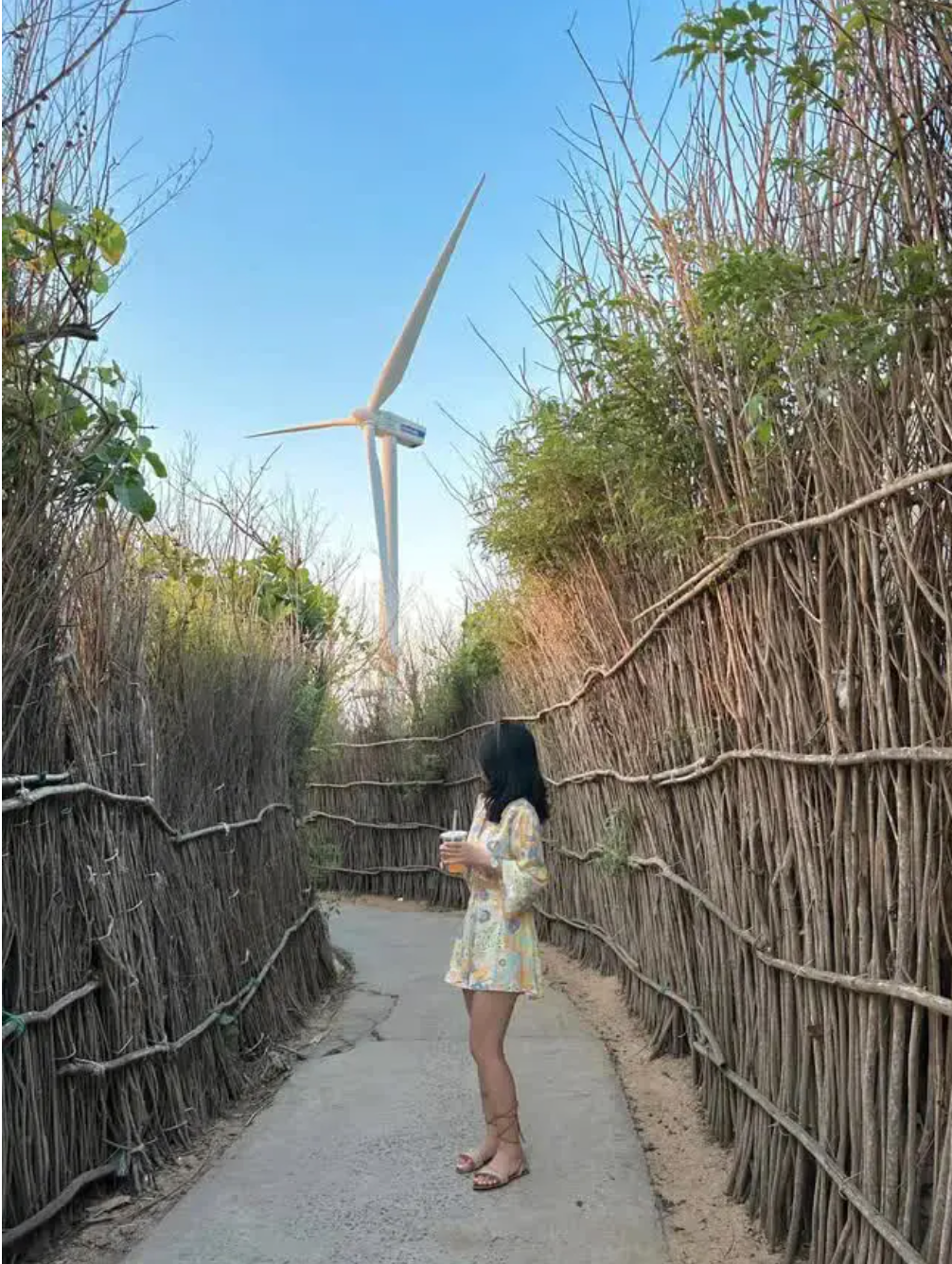 Điển hình là con hẻm trên đường ra Phong Điện, nơi đây đã cho ra đời vô số bức ảnh đẹp nên không lạ gì khi nơi này đông đúc người xếp hàng.