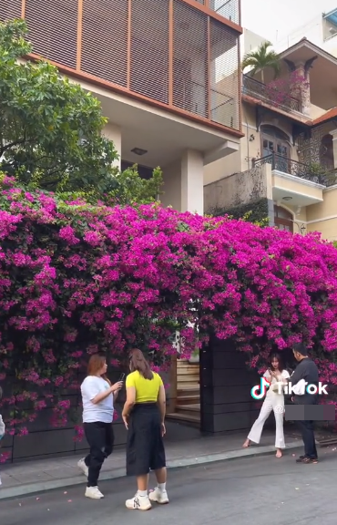 Nhiều người tranh thủ chưng diện váy áo thật chỉn chu tìm đến đây để có được những bức hình tuyệt đẹp giữa không gian ngập tràn sắc hoa.