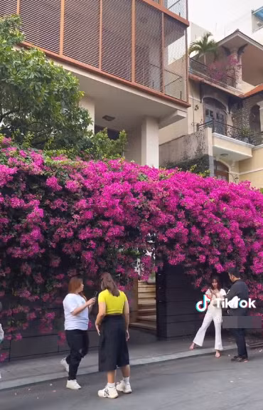 Nhiều người tranh thủ chưng diện váy áo thật chỉn chu tìm đến đây để có được những bức hình tuyệt đẹp giữa không gian ngập tràn sắc hoa.