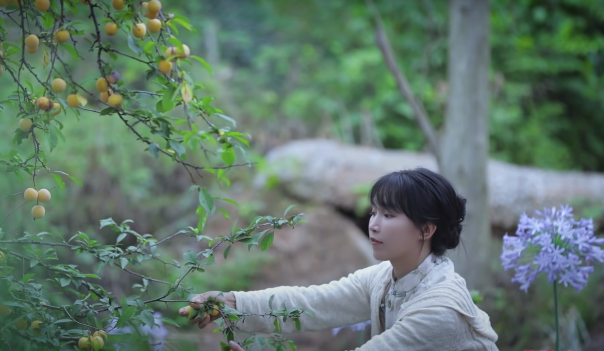 Lý Tử Thất (sinh năm 1990) được coi là "đệ nhất hot girl mạng Trung Quốc", "người có ảnh hưởng nhất trên mạng xã hội".