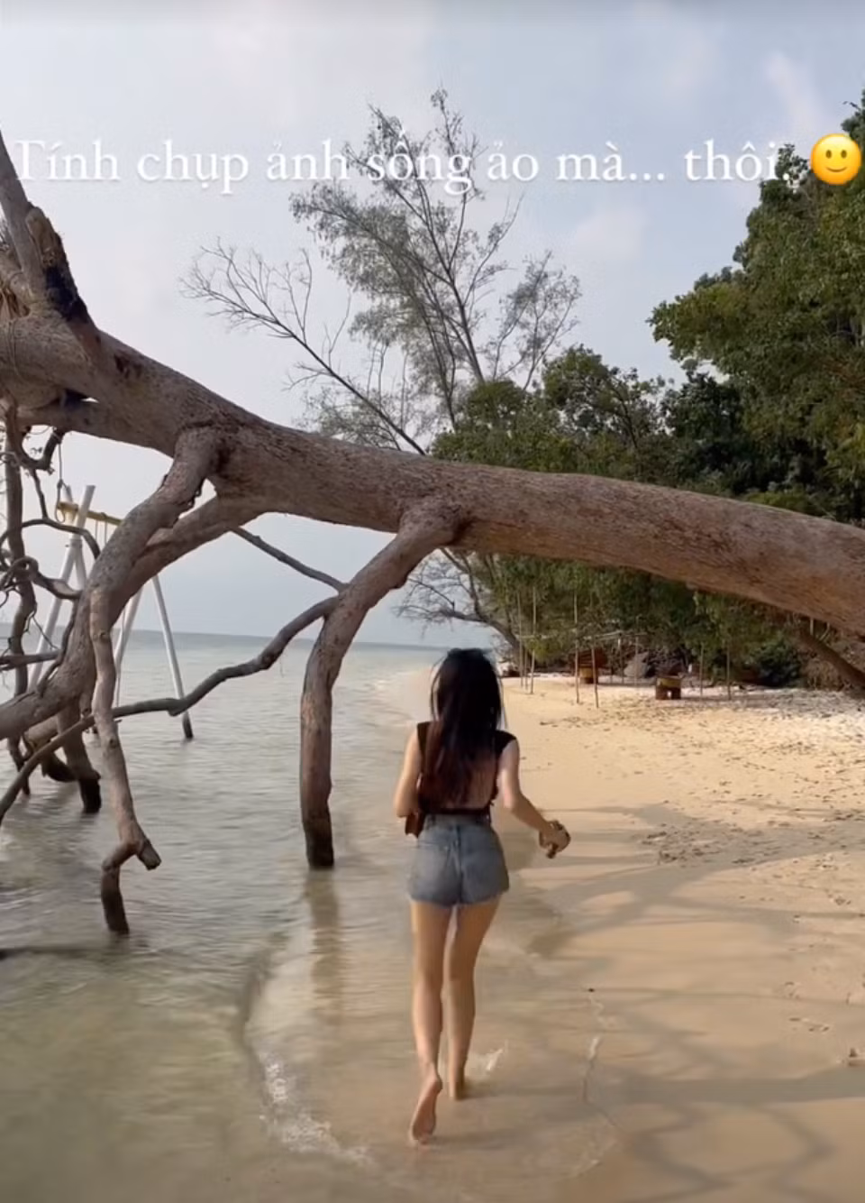 Đầu đoạn clip Doãn Hải My chạy tiến đến một cái cây, sau đó trèo lên cây bằng chiếc thang được đặt sẵn.