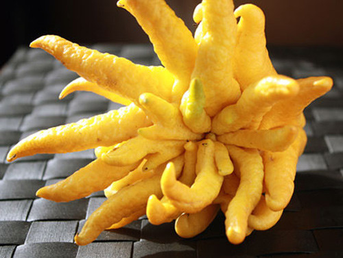 Theo quan niệm của người phương Đông, các màu quả cần có trên mâm ngũ quả Tết là: đen, đỏ, xanh, trắng, vàng, lần lượt tượng trưng cho Kim, Mộc, Thủy, Hỏa, Thổ. Sau chuối xanh là bưởi vàng (ngày nay thường thay bằng quả phật thủ). Trái bưởi vàng tượng trưng cho mong muốn cầu phúc lộc và ứng với hành Thổ.