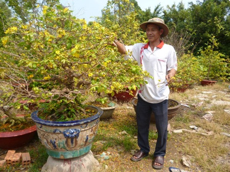 Dịp Tết, dịch vụ chăm sóc cây cảnh thuê cũng được dịp kiếm bộn tiền. Những cây cảnh quý thường được người dân thuê thợ đến tạo dáng, chăm sóc là mai, tùng, mai chiếu thủy và gửi về nhà vườn để chăm sóc.