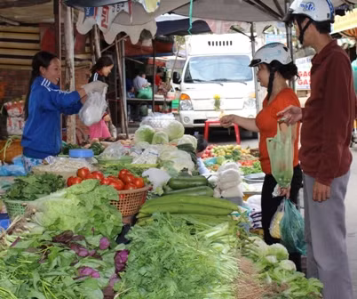 Đi chợ thuê, mua sắm thực phẩm theo yêu cầu của khách hàng cũng trở thành dịch vụ thu lời vào dịp cuối năm. Phí dịch vụ này dao động từ 20.000 - 50.000 đồng/lần (tùy theo độ xa gần của nơi thuê người đi chợ).