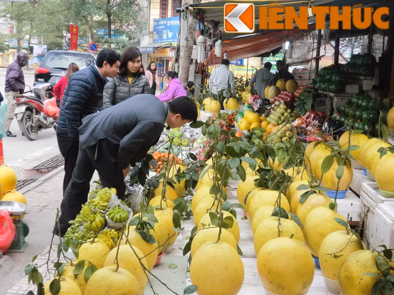 Rất nhiều vị khách tò mò, xem xét thật kỹ trước khi mua bưởi vàng khổng lồ. Những quả có đủ cuống, lá xanh tươi, dáng tròn đẹp thường có giá đắt đỏ hơn. Mỗi cây bưởi thường cho thu hoạch từ 60 – 70 quả.