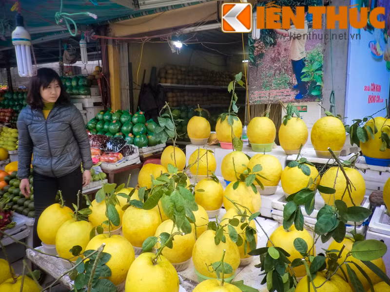 Những người bán tư vấn: khi bày lên mâm ngũ quả, chỉ cần phun một ít rượu lên quả bưởi thì mùi thơm phát ra lan tỏa khắp nhà, màu sắc của quả được giữ tươi nguyên và bền lâu, thậm chí có thể giữ quả bền cả tháng.