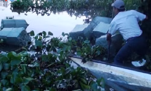 Giap Tet, buon lau long hanh ngay dem tren dat Long An-Hinh-2