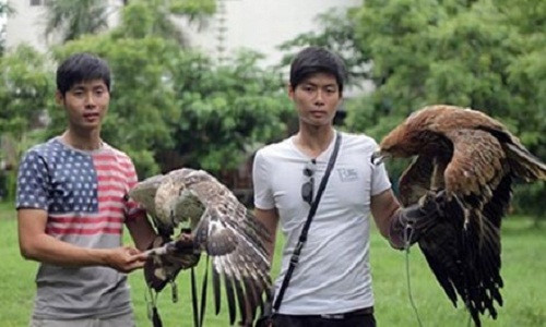 He bi quyet huan luyen chim san gia bac trieu cua cap song sinh