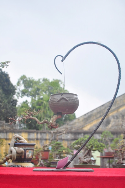 Một chậu cảnh độc đáo đặt trên khung sắt uốn nghệ thuật.