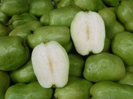 Giá bán buôn của ổi không hạt dao động từ 12.000 - 15.000 đồng/kg. Tại các sạp chợ, siêu thị, giá ổi không hạt có thể tăng gấp 2-3 lần.