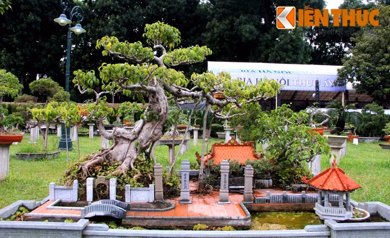 Tập trung hàng trăm cây cảnh đắt tiền, trị giá bạc tỉ của các nghệ nhân, đại gia từ nhiều nơi, vườn cây cảnh nghệ thuật tại Hoàng Thành Thăng Long (Hà Nội) cũng thu hút sự chú ý của không ít người.