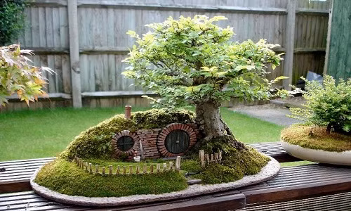 Man nhan ngam tieu canh bonsai sieu la