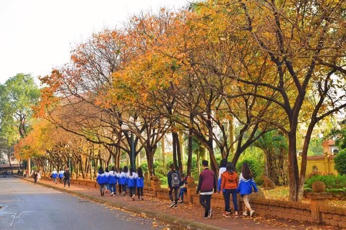 Co mot 'con duong tinh yeu' ben trong truong DH Su pham Ha Noi moi dip dong ve-Hinh-3