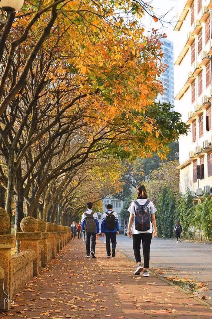 Co mot 'con duong tinh yeu' ben trong truong DH Su pham Ha Noi moi dip dong ve-Hinh-5