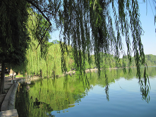 Hồ Gươm là nơi thể hiện rõ nhất mùa thu Hà Nội đã về. Tháng 9, đến Hồ Gươm ngắm những hàng liễu rủ xuống trong tiết trời se se lạnh tạo nên một khung cảnh rất thơ mộng. Ảnh:Internet.