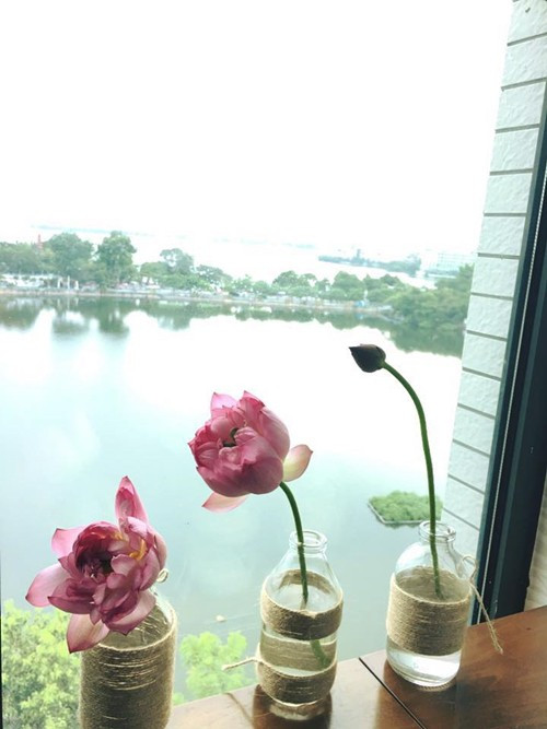 Những khóm sen, súng trong khu vườn của chị Lan thường bị sâu ăn lá hoặc muội phá. Chị dành thời gian quan sát cây mỗi ngày để phát hiện và diệt ngay sâu ăn lá. Những hôm trời âm u, mưa nhiều; hoa dễ bị muội bám vào thân hút nhựa. Bà mẹ Hà thành xử lý bằng cách dùng bình xịt kiến, gián; xịt trực tiếp lên thân cây sau đó dội rửa hoa bằng nước sạch.