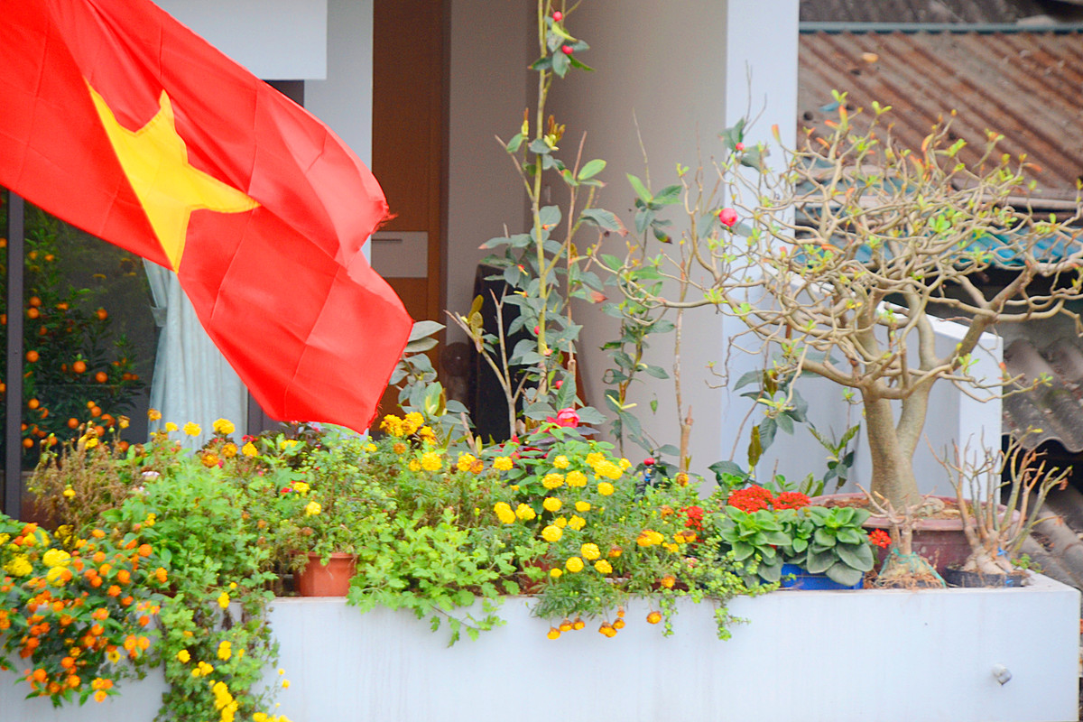 Vì đây là khu vực trực tiếp đón ánh nắng mặt trời nên các loại hoa được chủ nhà ưu tiên lựa chọn có thuộc tính ưa sáng như cúc chùm, hoa giấy, hoa hồng, hoa đại…