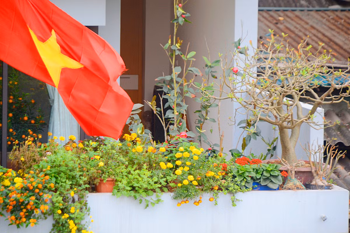 Vì đây là khu vực trực tiếp đón ánh nắng mặt trời nên các loại hoa được chủ nhà ưu tiên lựa chọn có thuộc tính ưa sáng như cúc chùm, hoa giấy, hoa hồng, hoa đại…