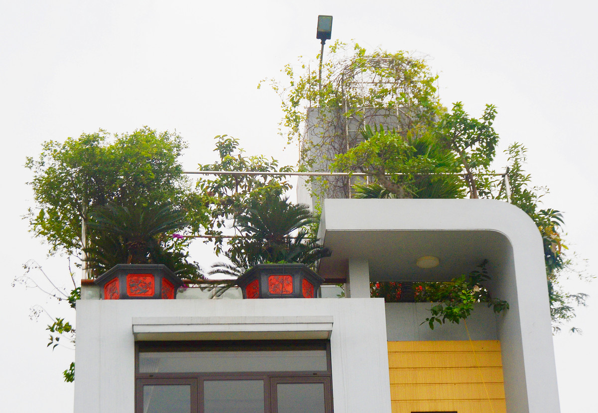 Chủ nhân của ngôi nhà ống hiện đại đã khiến bao người qua đường phải yêu ban công của họ ngay từ cái nhìn đầu tiên.