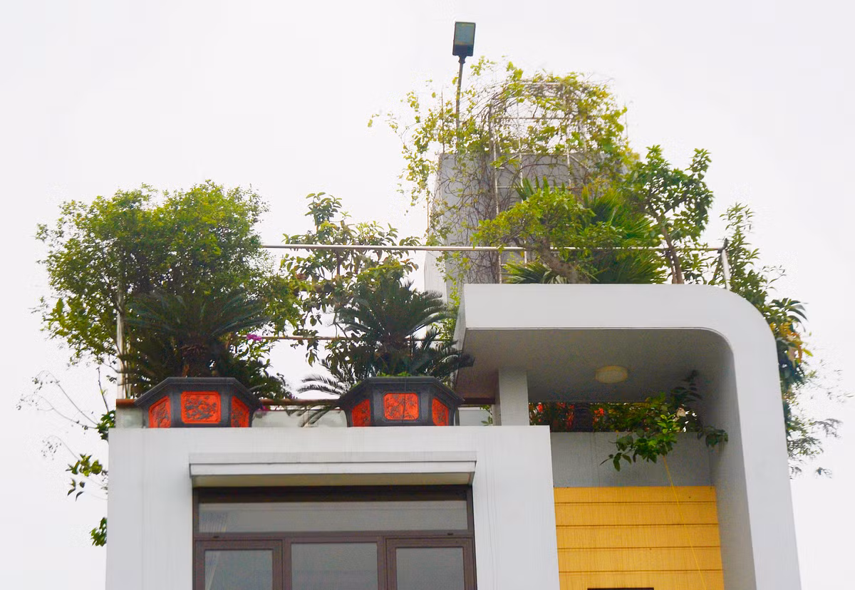 Chủ nhân của ngôi nhà ống hiện đại đã khiến bao người qua đường phải yêu ban công của họ ngay từ cái nhìn đầu tiên.