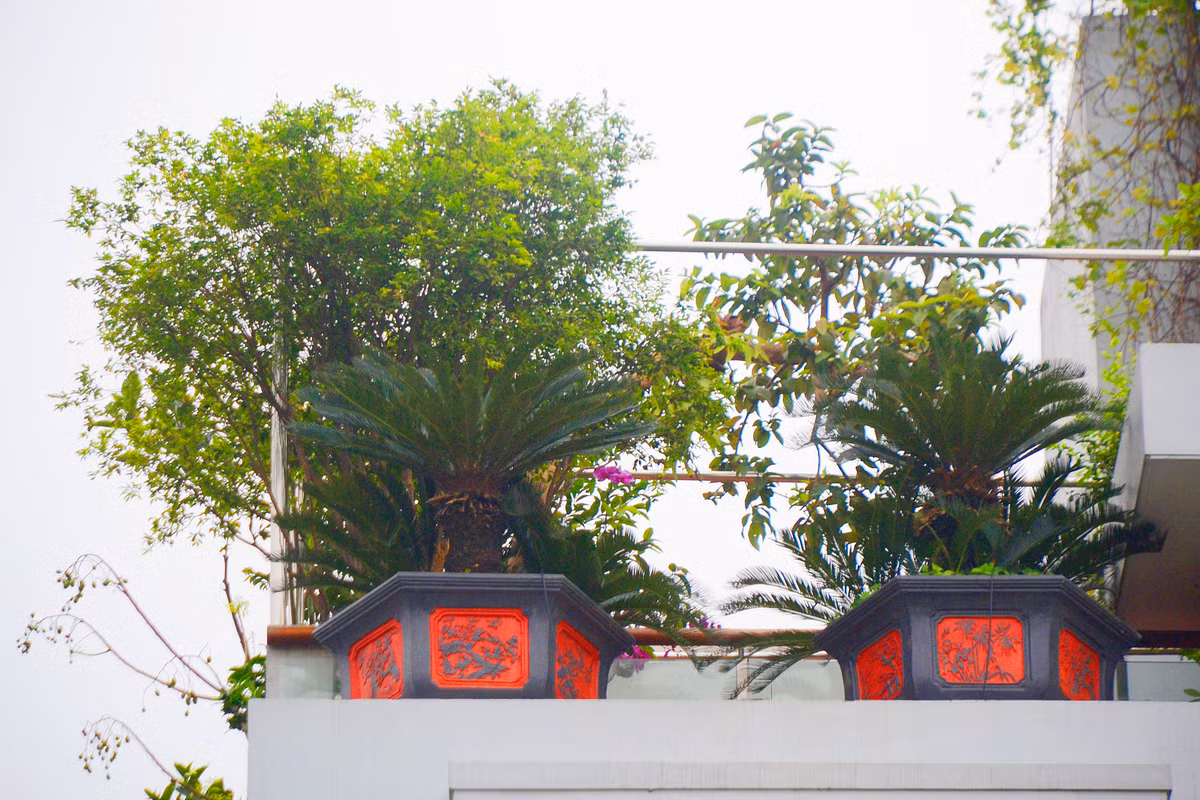 Không chỉ bởi sự phong phú sắc màu, đa dạng của các loài hoa mà còn ở cách bố trí đẹp mắt, mỗi ban công một màu sắc khác nhau.