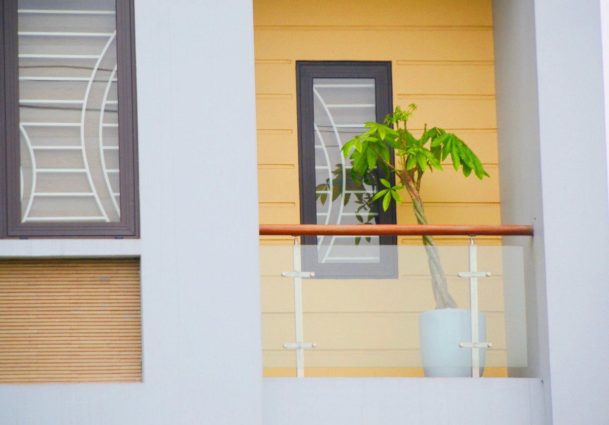 Hay những chậu cây phong thủy nhìn đơn giản nhưng rất mát mắt.