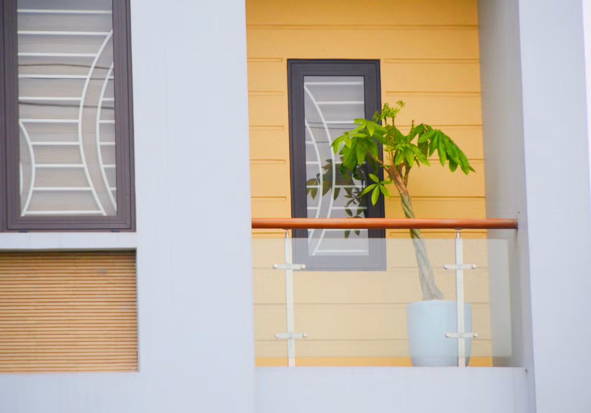 Hay những chậu cây phong thủy nhìn đơn giản nhưng rất mát mắt.