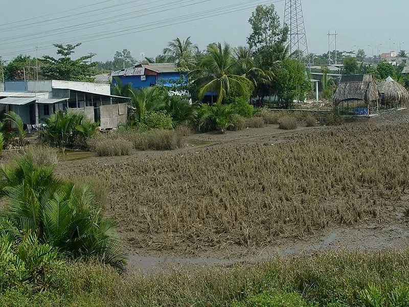 Diem danh 2 du an “khung” treo chuc nam nay o khu Nam Sai Gon