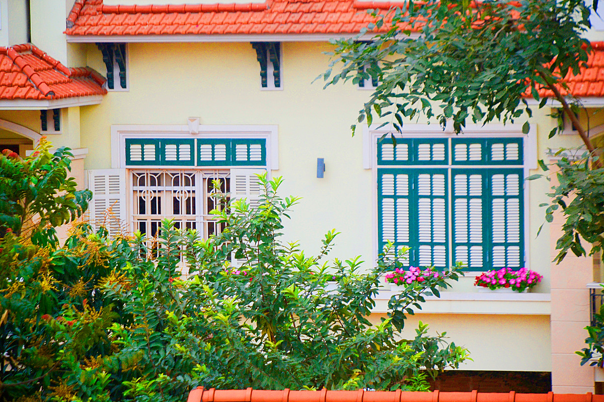 Cây xanh được trồng, trang trí mọi góc khiến khoảng không ngôi nhà thêm mướt mắt.