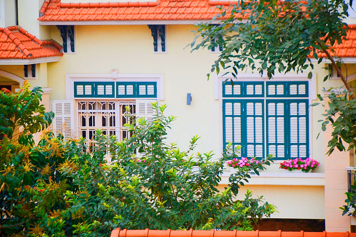 Cây xanh được trồng, trang trí mọi góc khiến khoảng không ngôi nhà thêm mướt mắt.