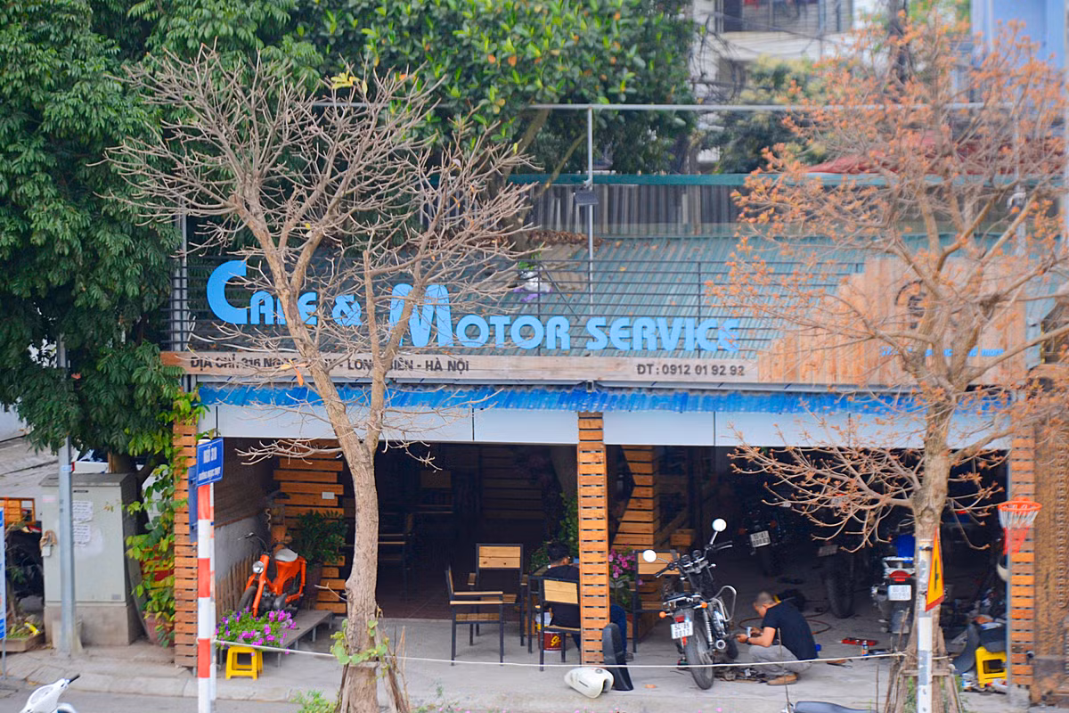 Ngôi nhà có cây đâm xuyên mái khiến ai đi qua cũng phải ngạc nhiên ngoái nhìn.