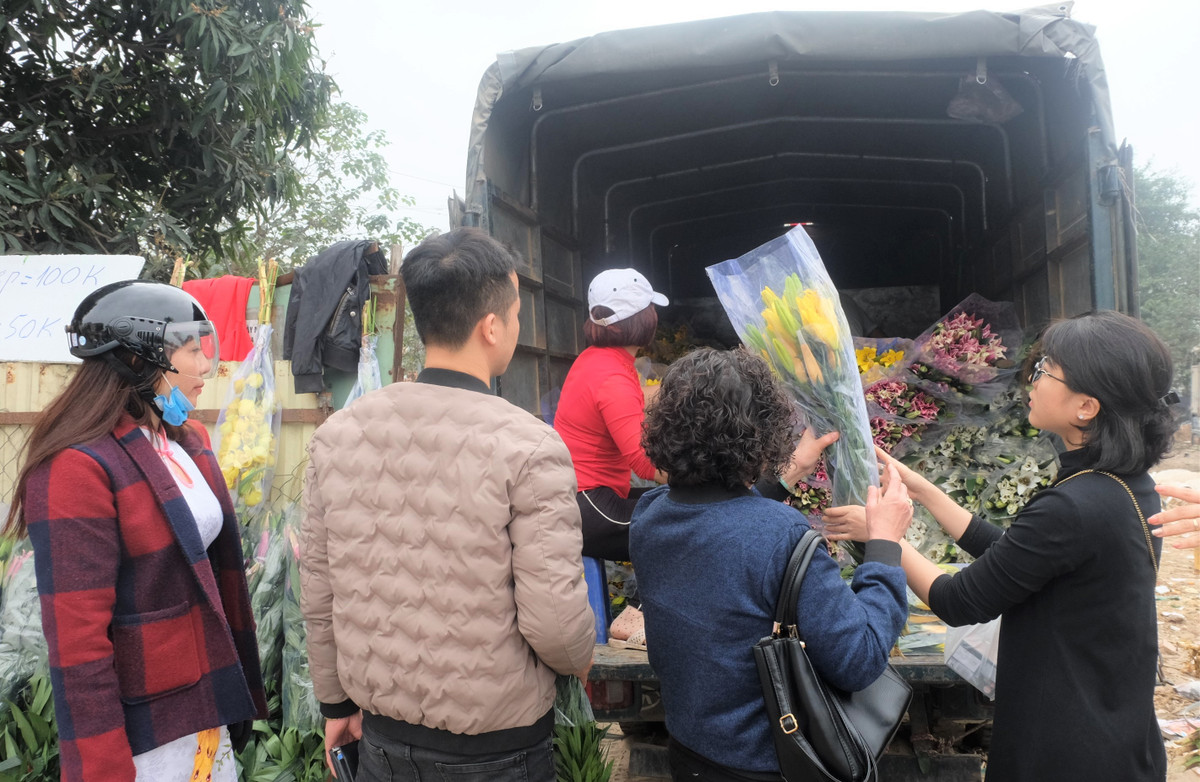 Nhiều chủ vườn chỉ còn biết hy vọng giá hoa sẽ nhích lên trong dịp 8/3 tới.