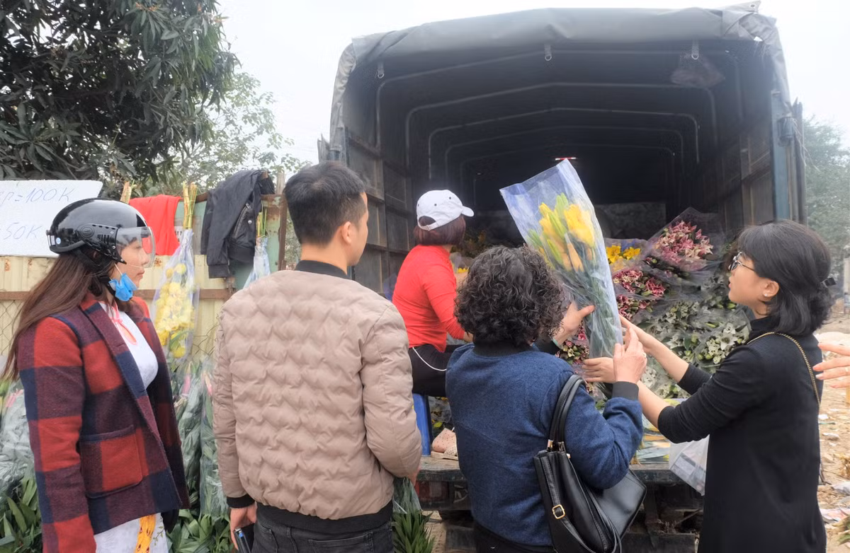 Nhiều chủ vườn chỉ còn biết hy vọng giá hoa sẽ nhích lên trong dịp 8/3 tới.