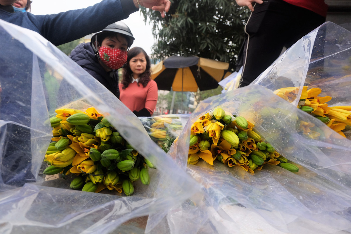 Nhiều vị khách khẳng định, chưa khi nào thấy hoa ly giảm giá kịch sàn như thời điểm này.