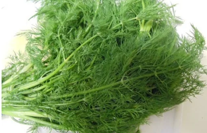 Moi ngay mot nam rau re beo nay dieu ky dieu se xay ra-Hinh-2