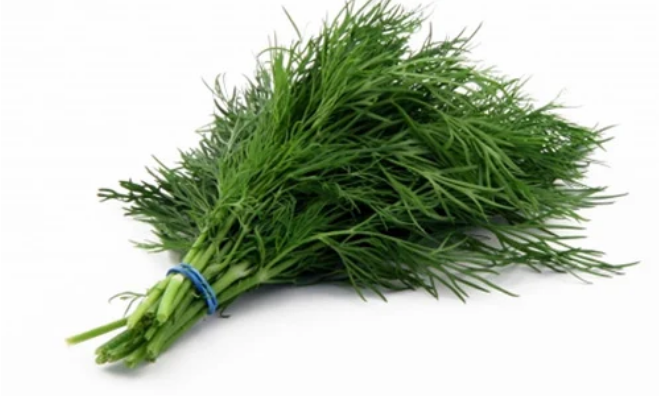 Moi ngay mot nam rau re beo nay dieu ky dieu se xay ra