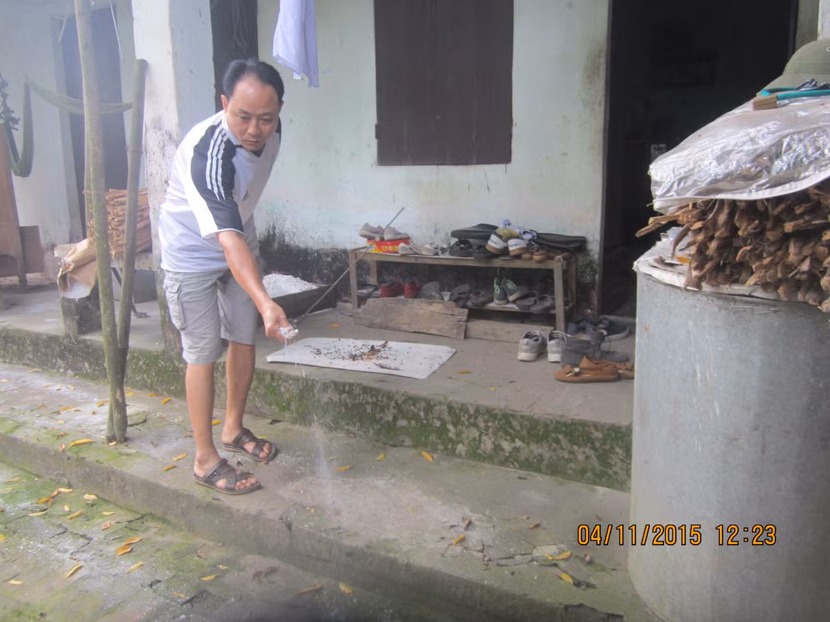 Ngoài phun thuốc, người dân còn phải rắc vôi bột để hạn chế đến mức tối đa loài ruồi, muỗi.